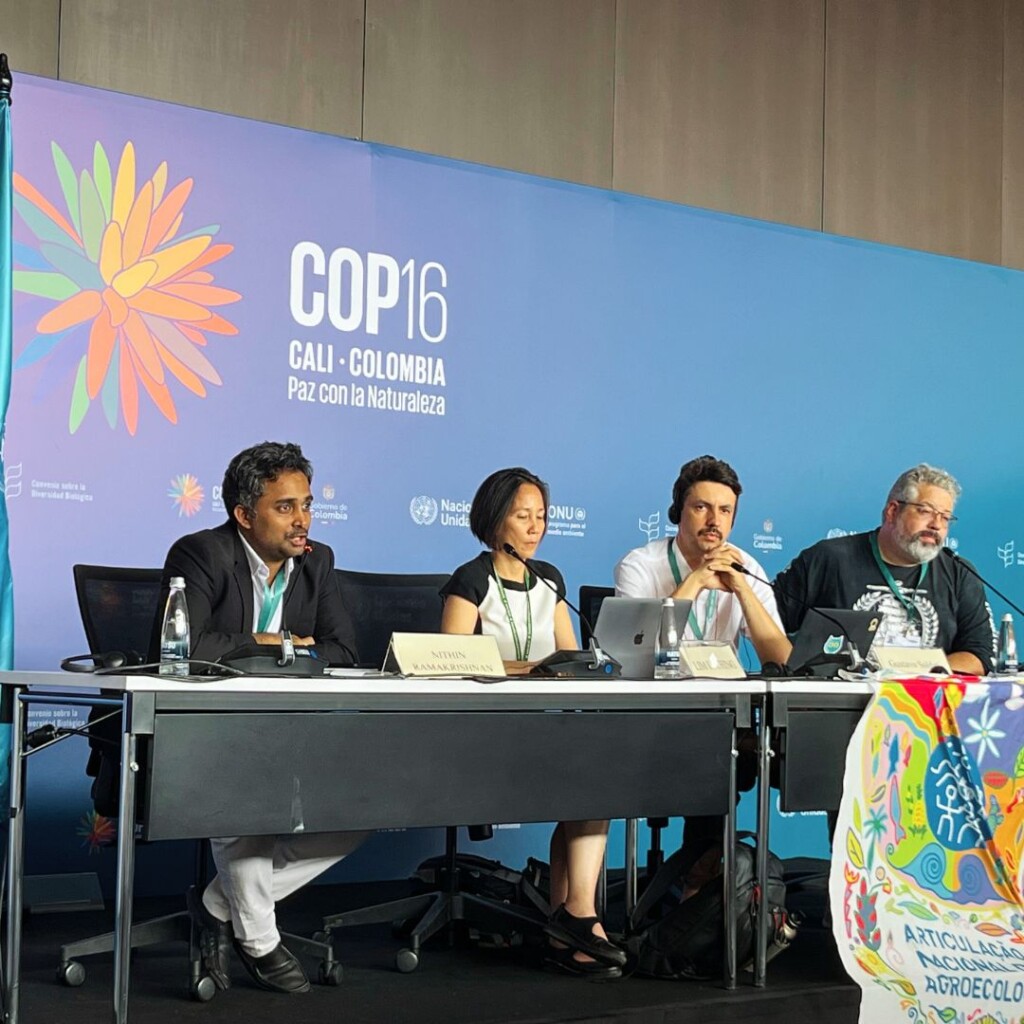 COP16