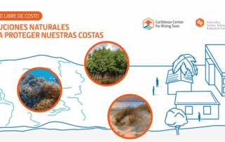 Arte promocional del taller