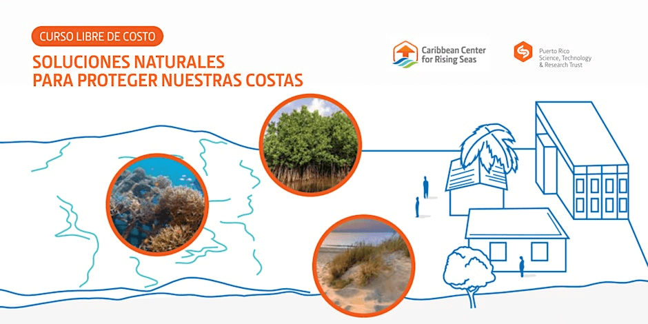 Arte promocional del taller