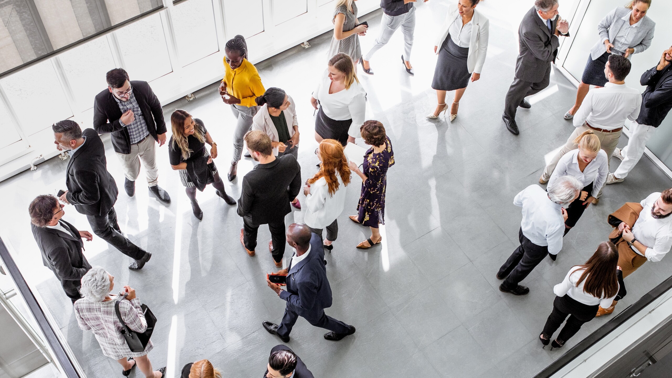 ¿Por qué conseguir empleo es cada vez más difícil… aunque tengas un diploma? ¿Por qué conseguir empleo es cada vez más difícil… aunque tengas un diploma?