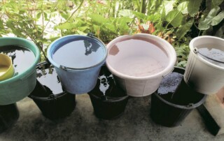 Salud y suplido de agua.